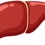 Read more about the article 7 Natural ways to keep Liver Healthy