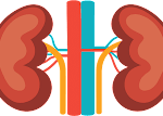 Read more about the article 7 Natural ways to keep Kidney Healthy