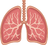 Read more about the article Natural ways to keep lungs healthy