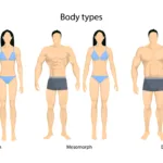 Read more about the article How to Know your Body Type